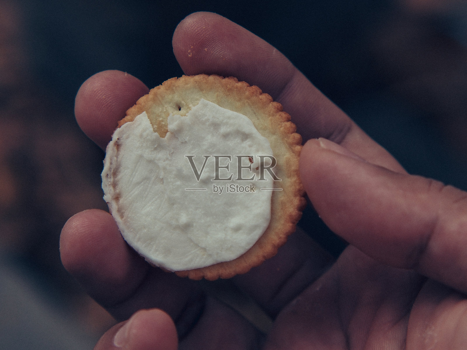 奶油饼干照片摄影图片