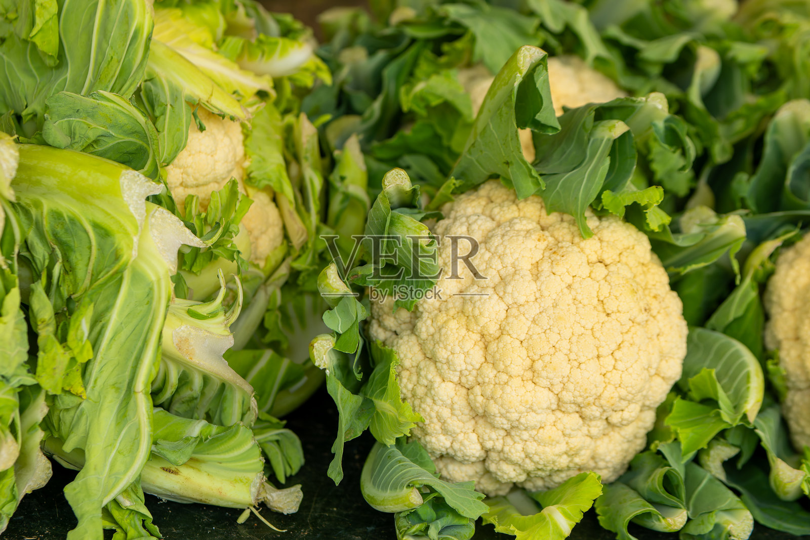 花椰菜的头被绿叶包围着照片摄影图片