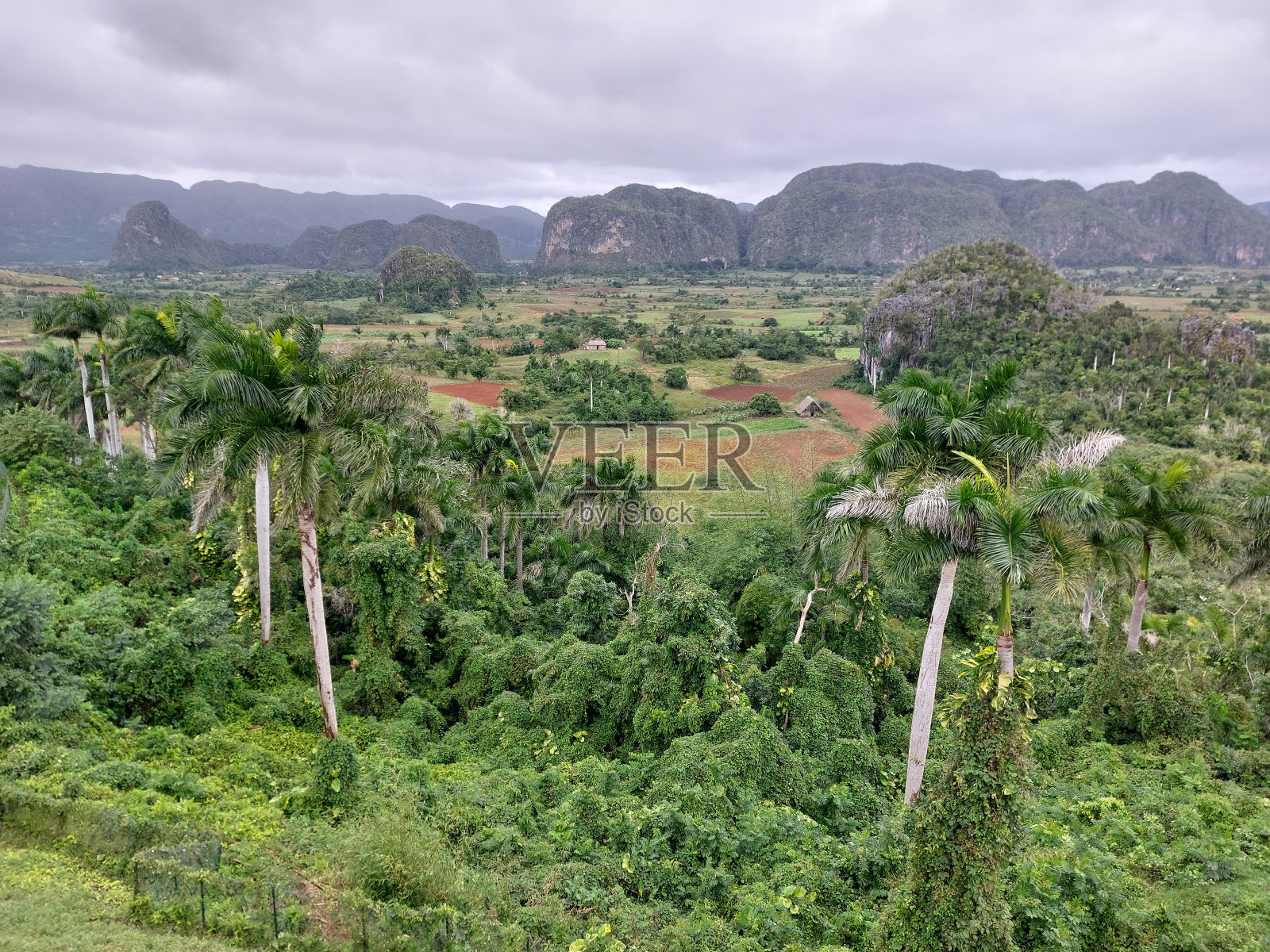 葡萄园谷照片摄影图片