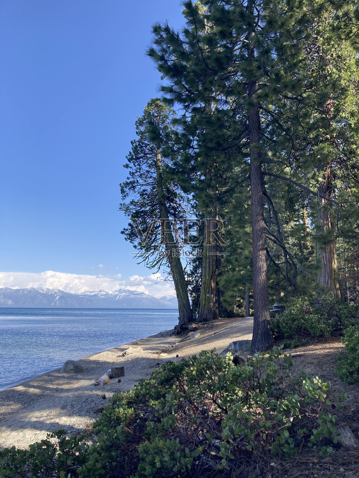 太浩湖岸边照片摄影图片