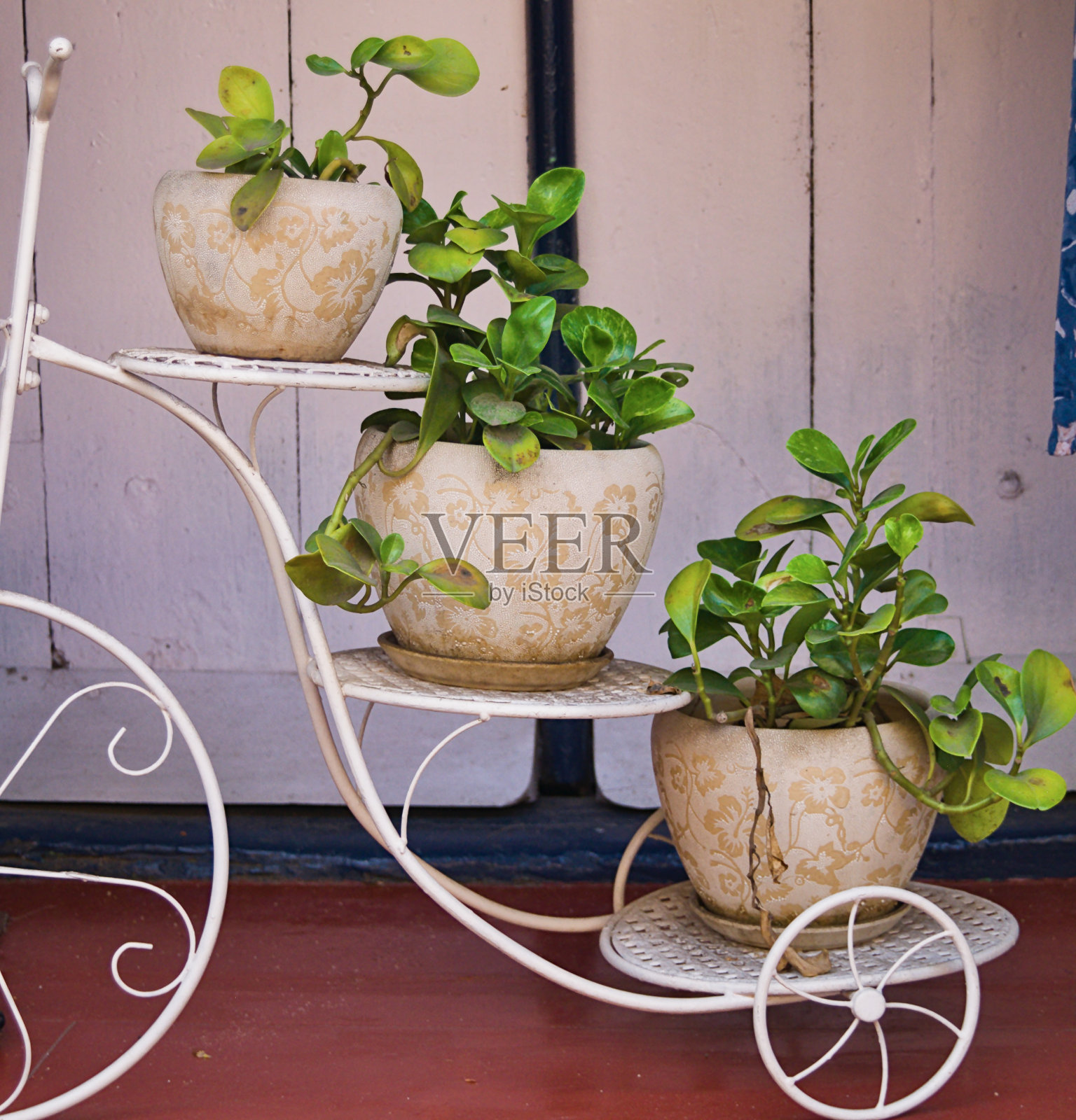 绿色运输车照片摄影图片