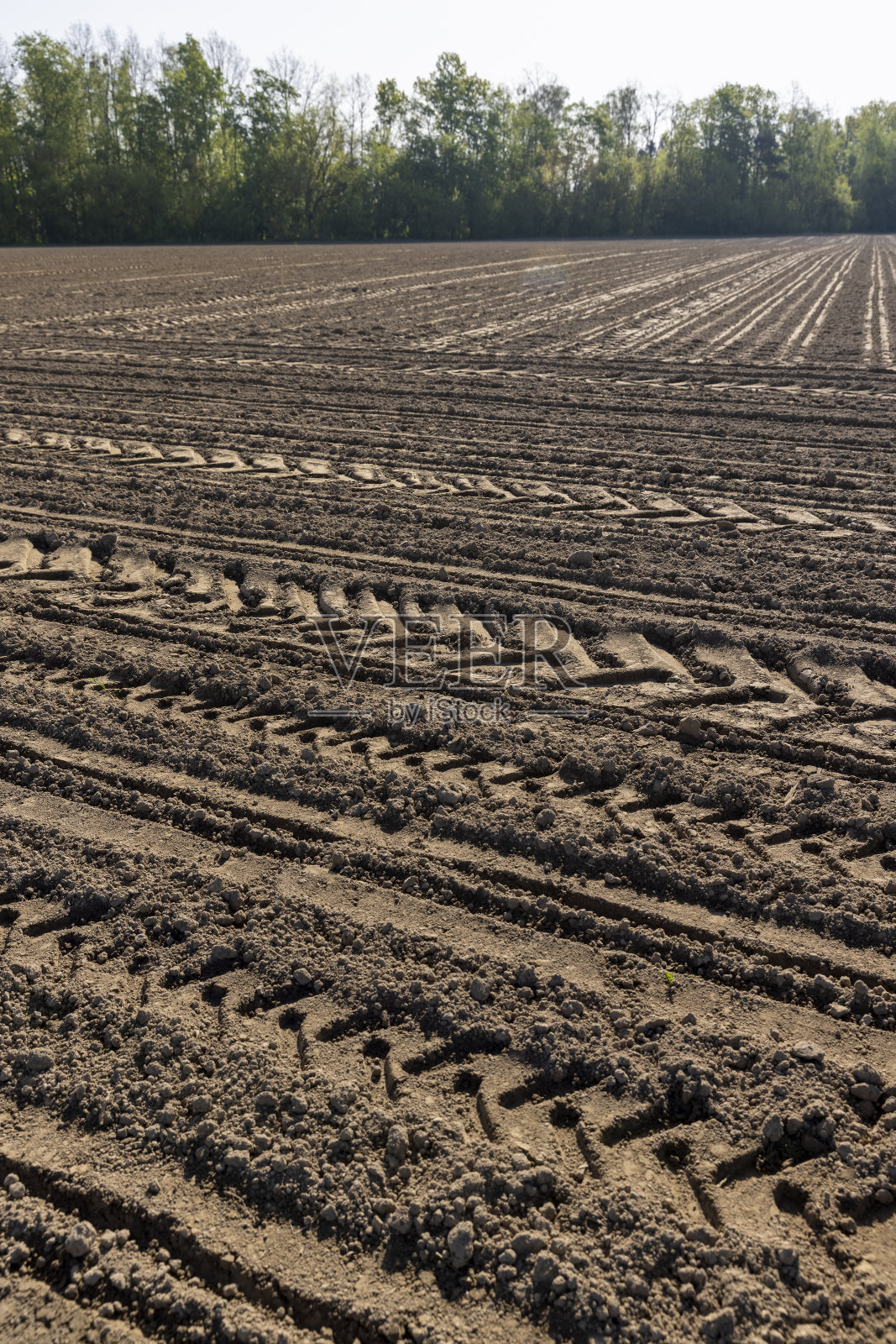 犁过的农田,有拖拉机的痕迹照片摄影图片
