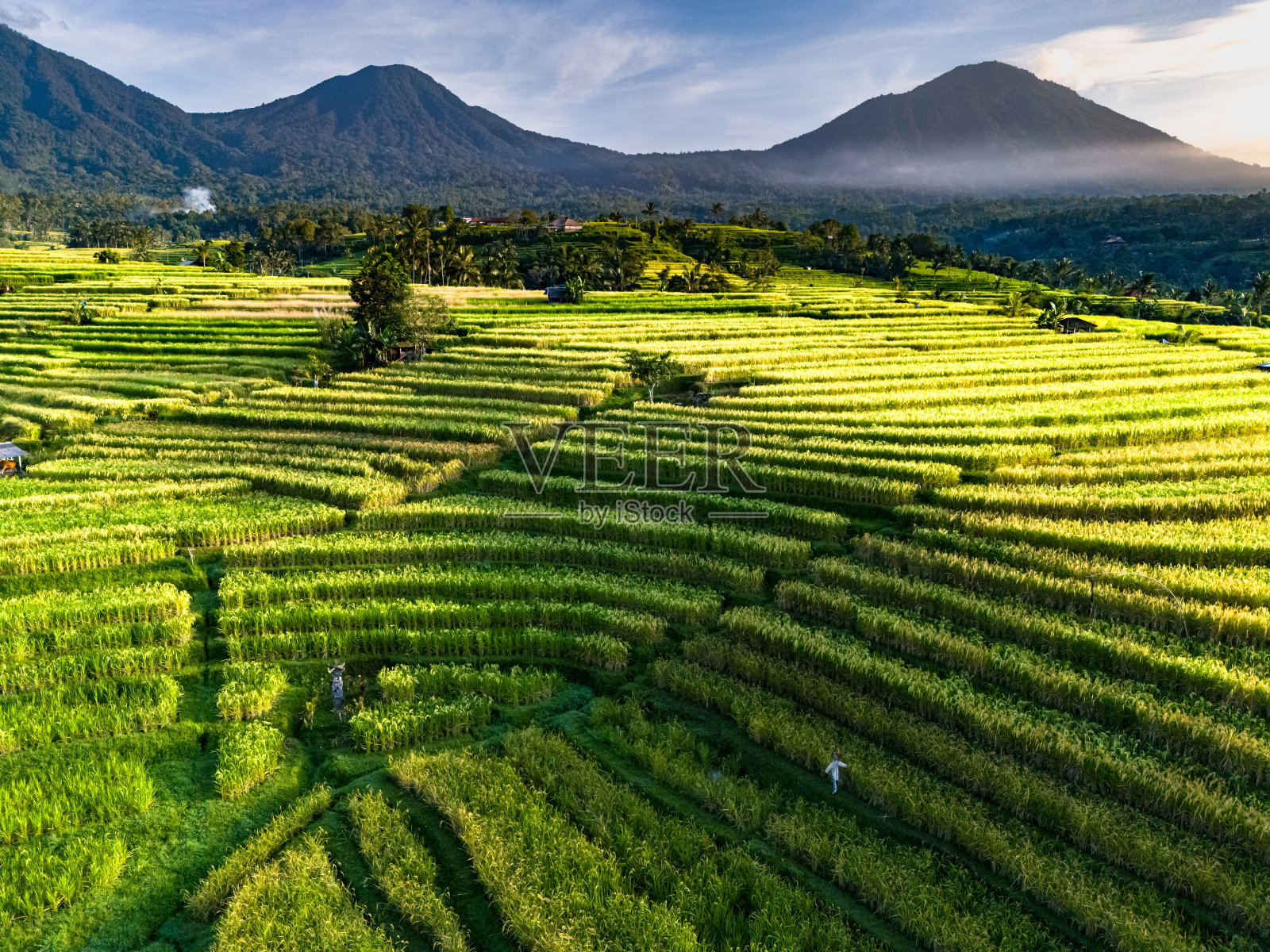 印度尼西亚巴厘岛佩内贝尔地区的jatiluwith水稻梯田照片摄影图片