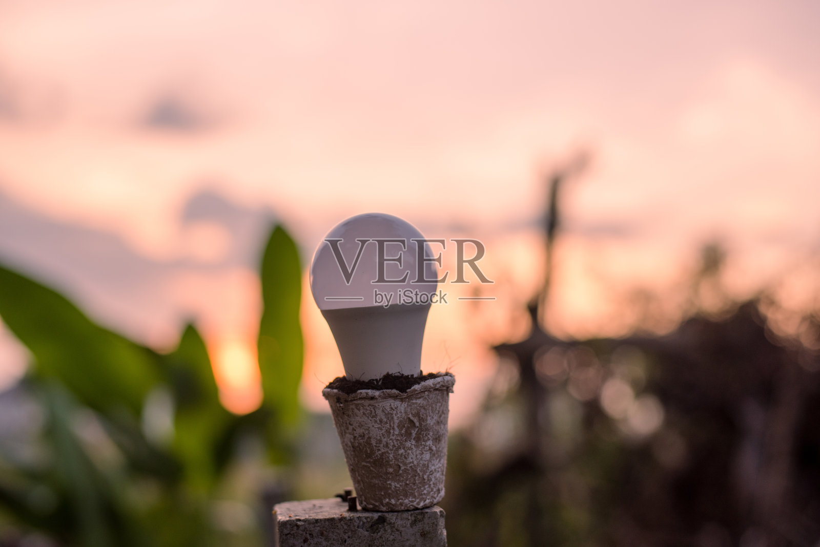 节能LED灯泡ECO配合环保,省钱的同时节约环境照片摄影图片