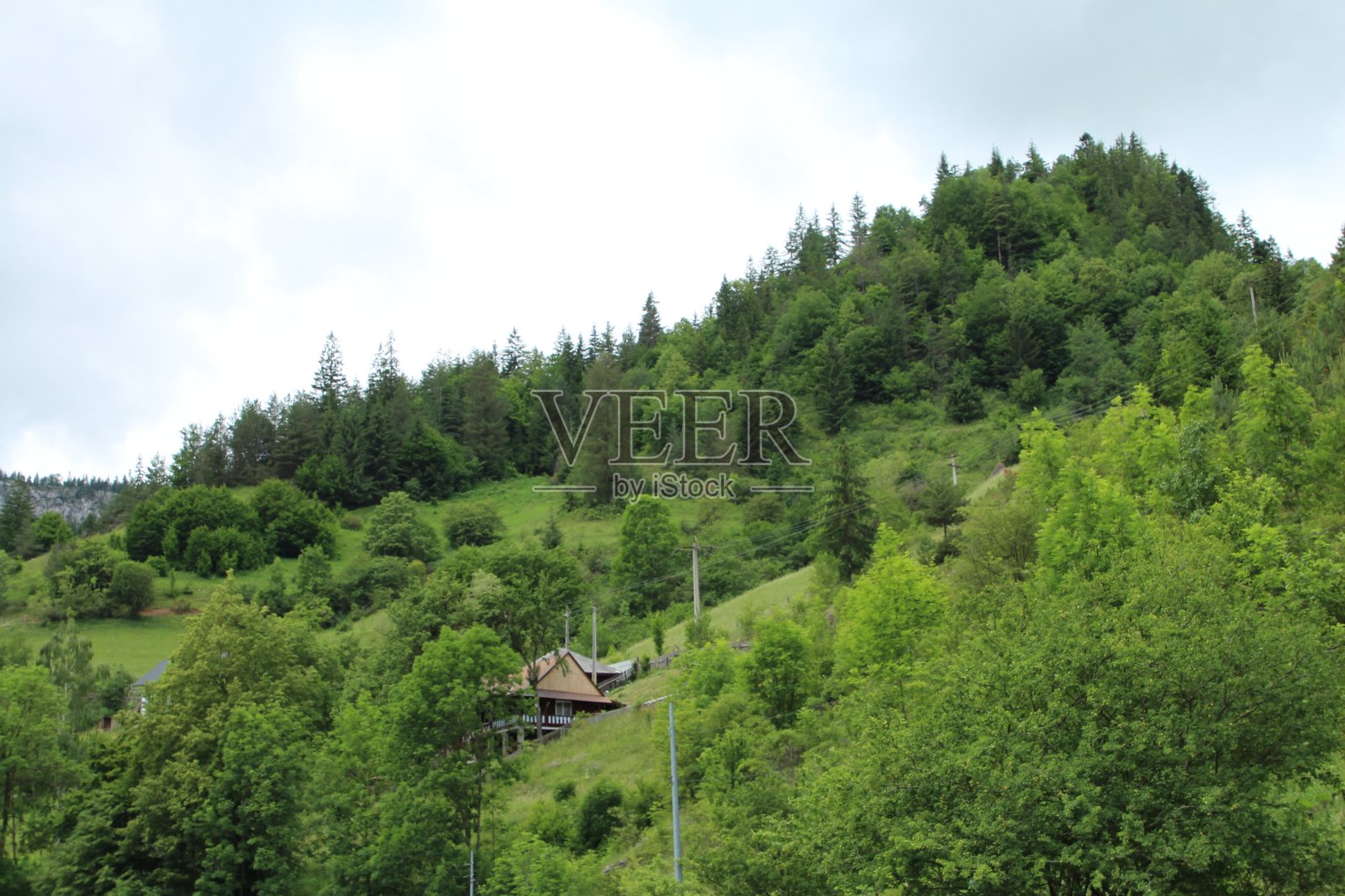 森林中的一所房子照片摄影图片