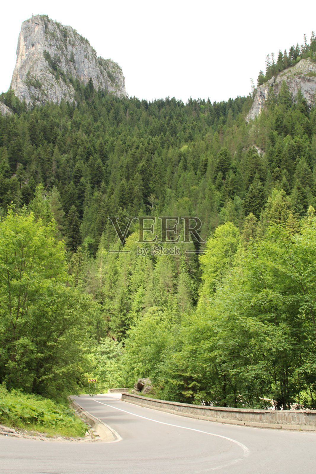 一条路边有树的路照片摄影图片