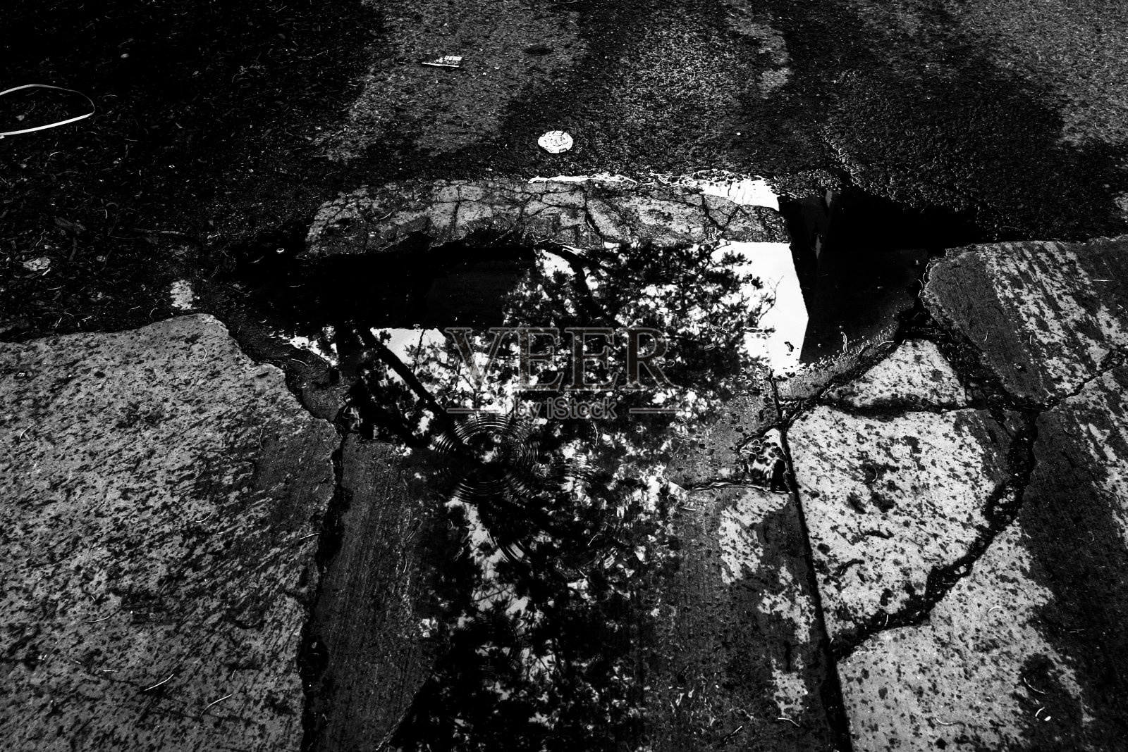 背景水坑:(单色传感器)照片摄影图片