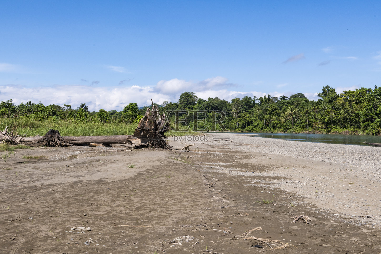 巴布亚新几内亚克莱河的热带雨林照片摄影图片