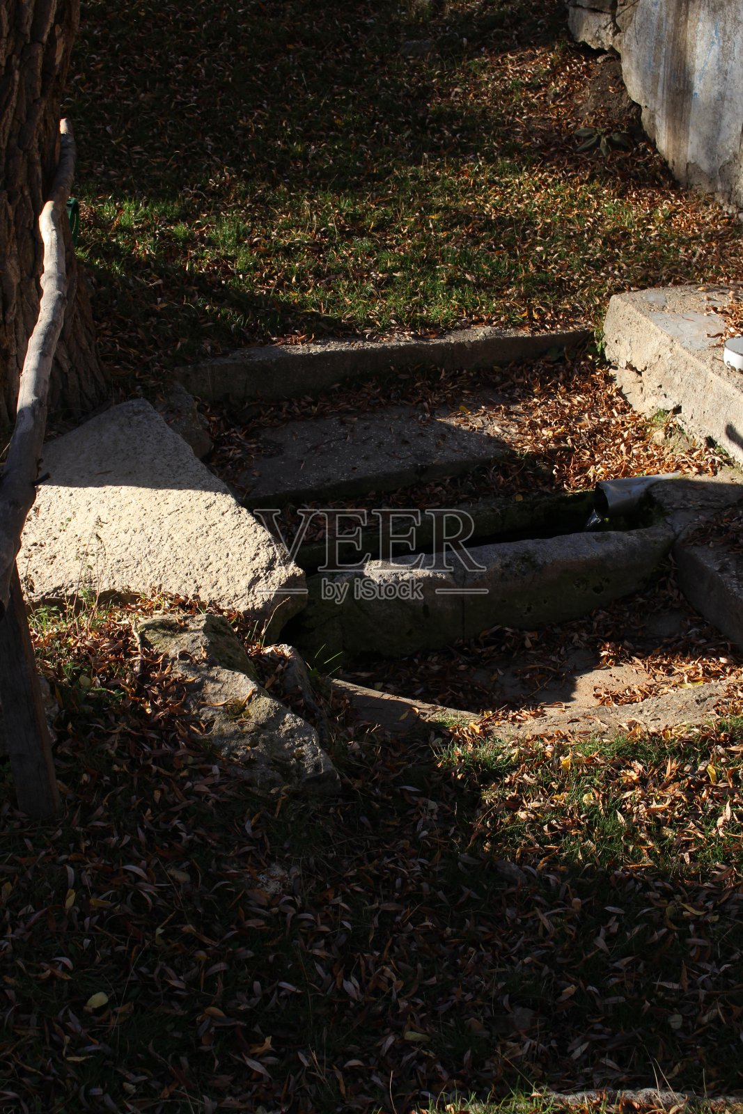 树林里的一堆石头照片摄影图片