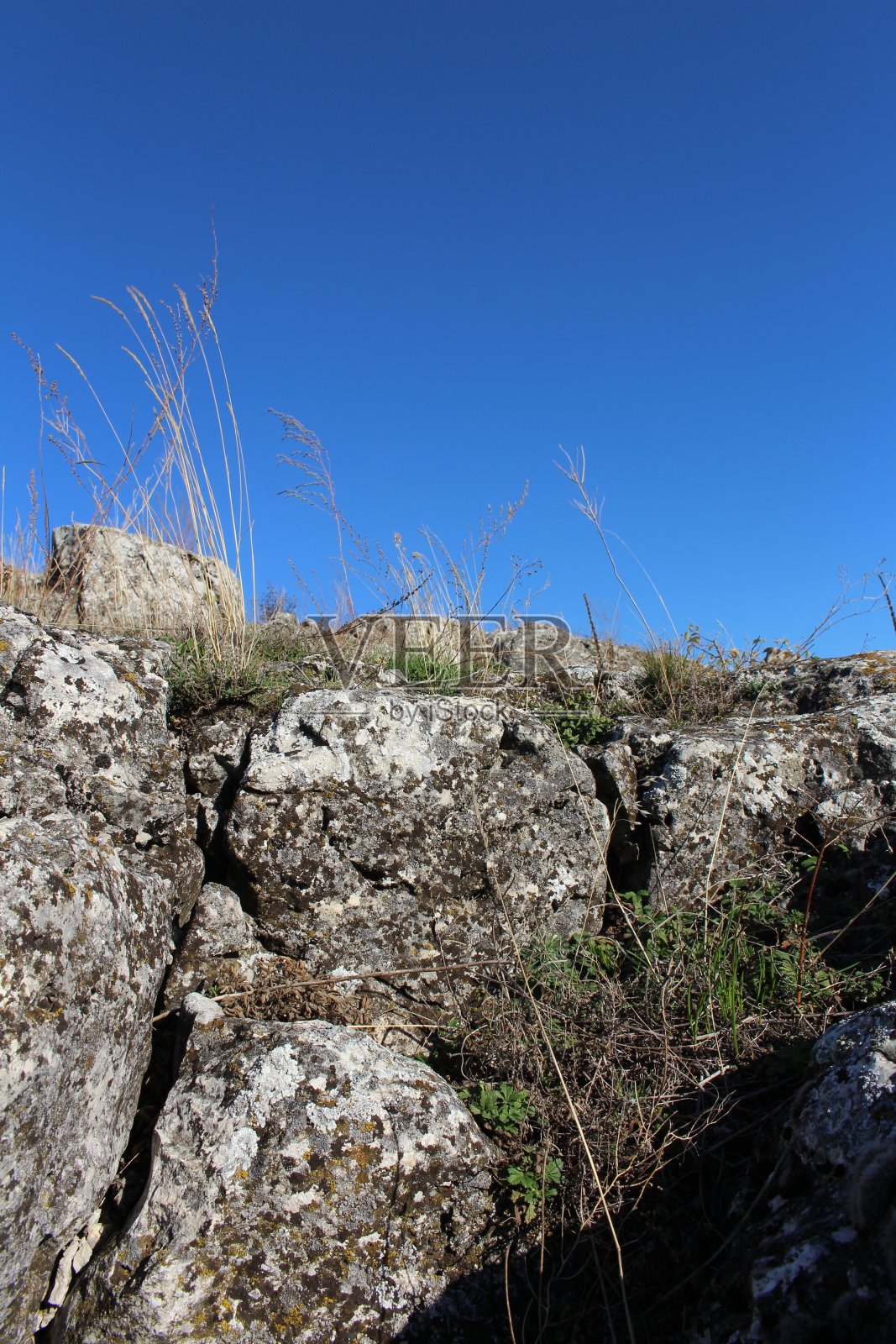 一堵有植物的石墙和一片蓝天照片摄影图片