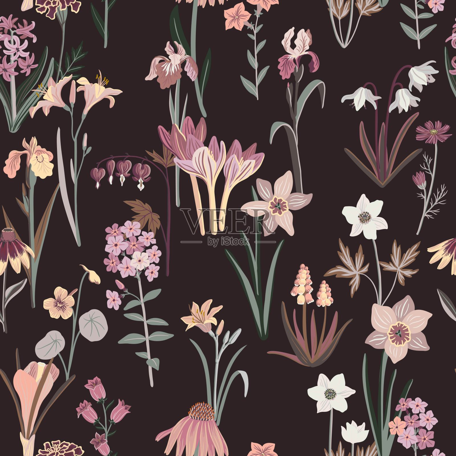 矢量无缝图案与花园的花朵插画图片素材