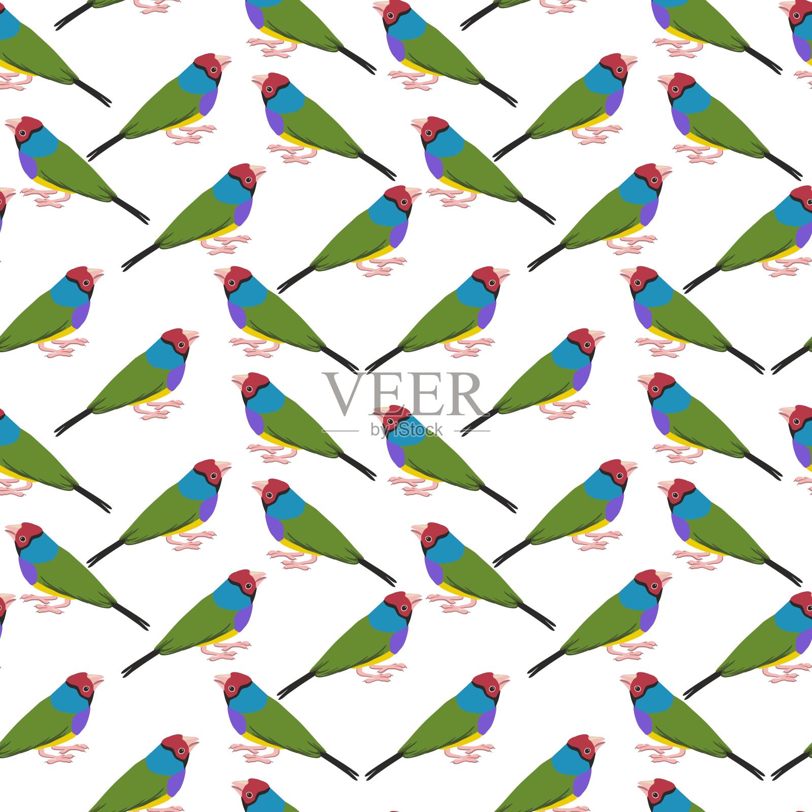 矢量绘制无缝图案与高氏雀插画图片素材