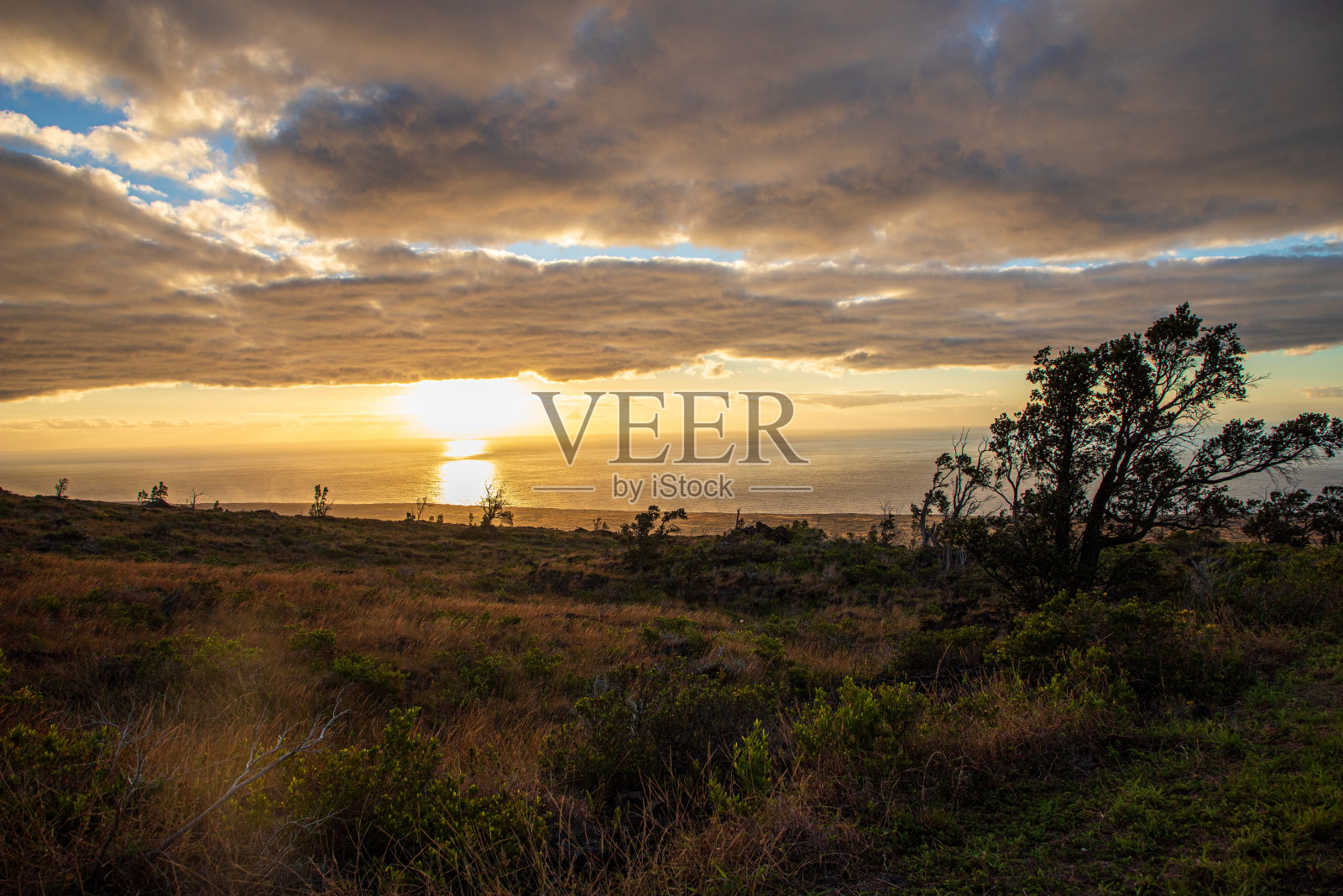 天堂发现:迷人的夏威夷景观在大岛和毛伊岛特色火山海滩,郁郁葱葱的绿色植物,棕榈树,瀑布,熔岩田,风景秀丽的驱动器,壮观的日落和日出,海岸悬崖照片摄影图片