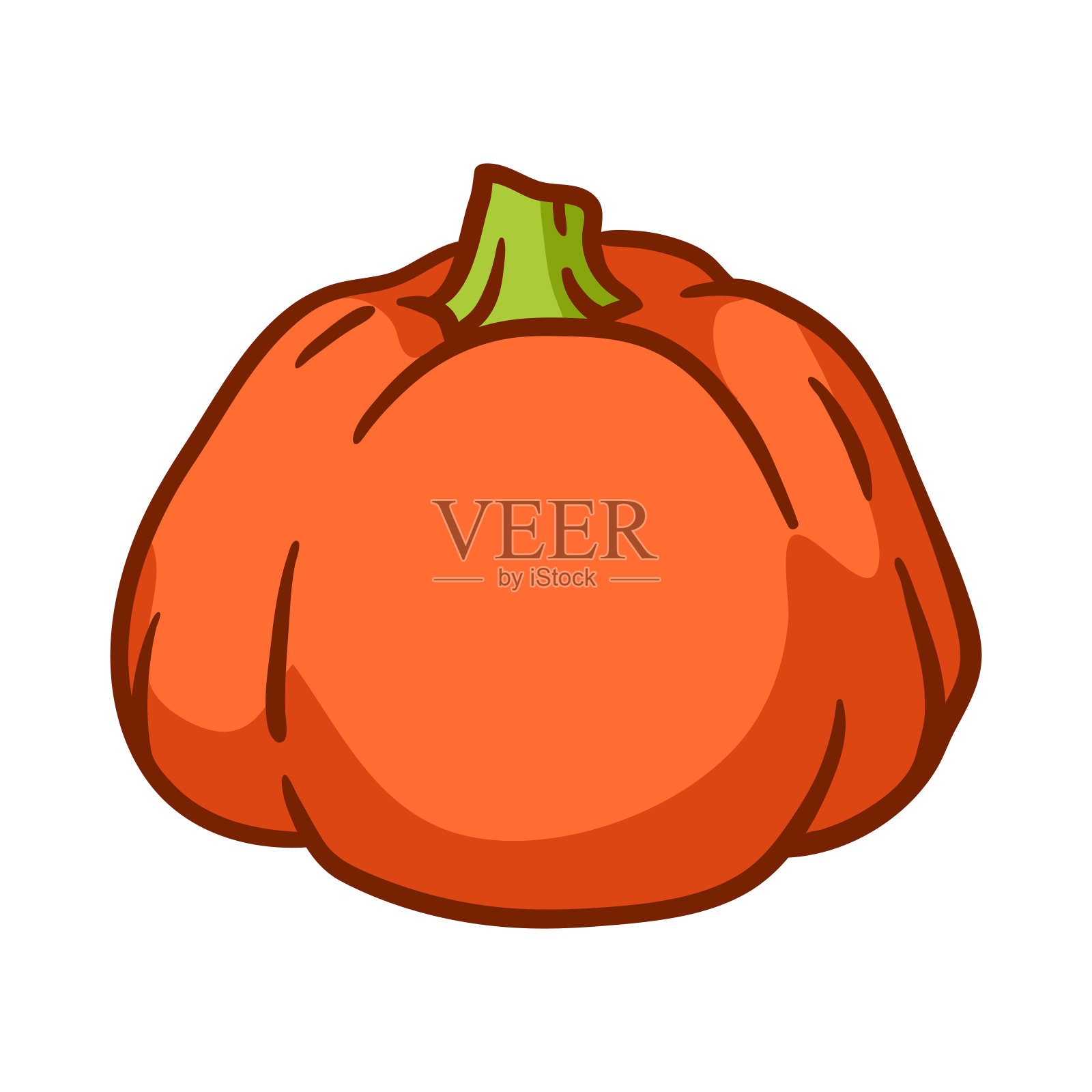 南瓜插图。秋收成熟的蔬菜。插画图片素材