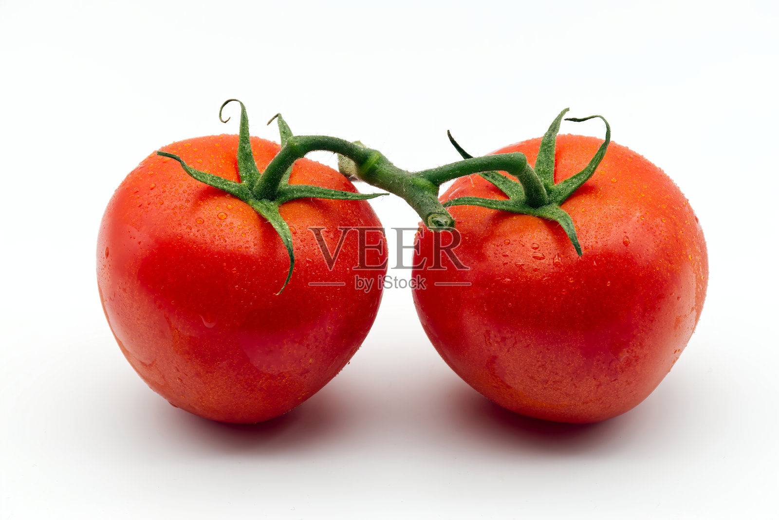 新鲜的红色圣女果被隔离在白色的背景上。意大利,圣马扎诺,李子或罗马番茄。照片摄影图片