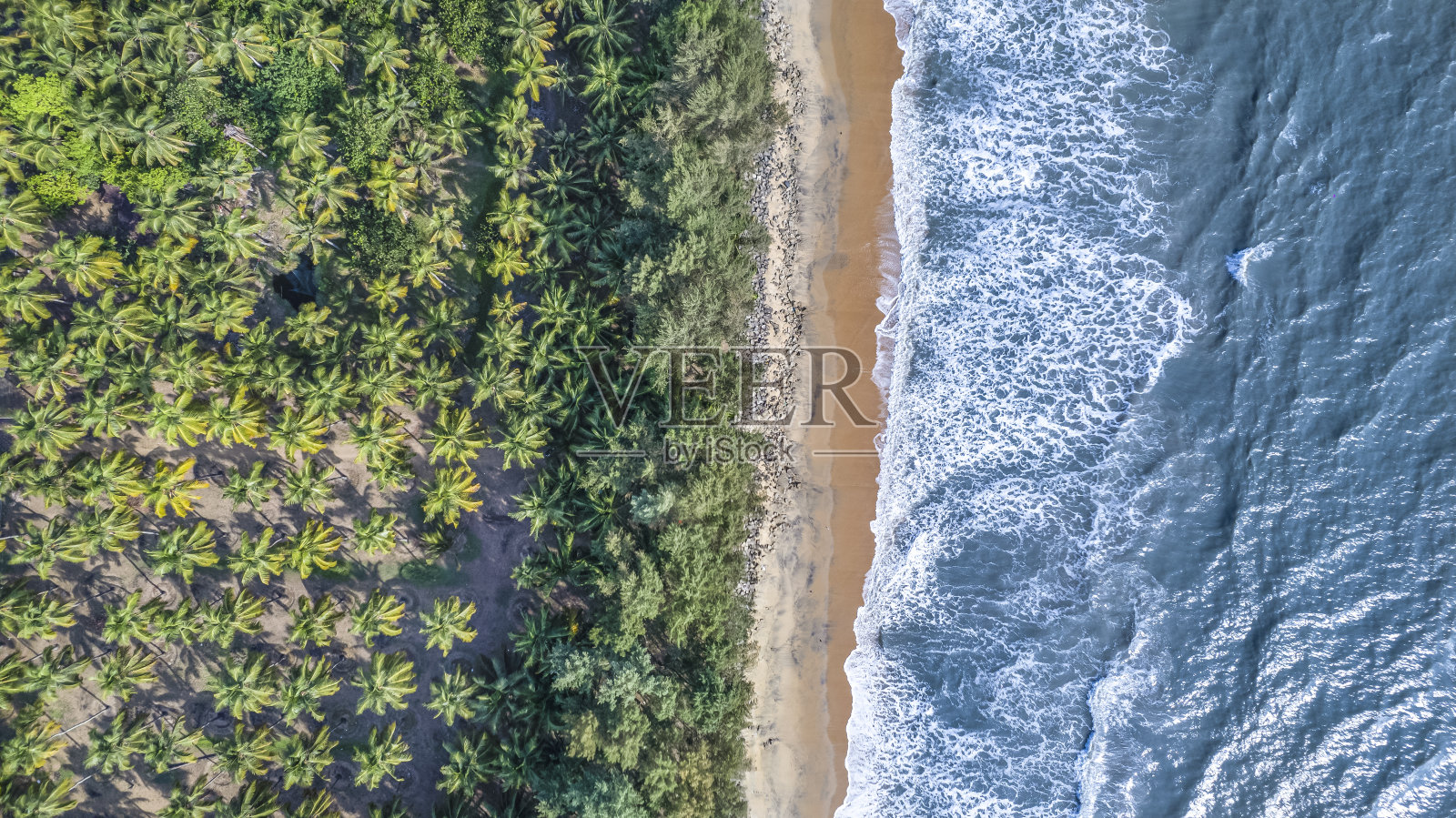 Nehatheeram海滩,恰瓦卡德喀拉拉邦鸟瞰图照片摄影图片