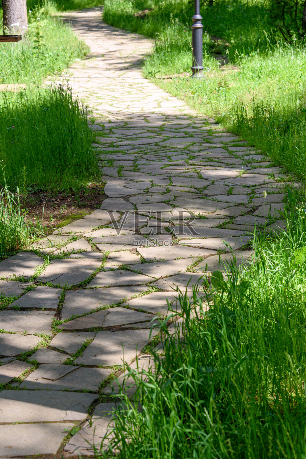 公园石径,生态步道。照片摄影图片