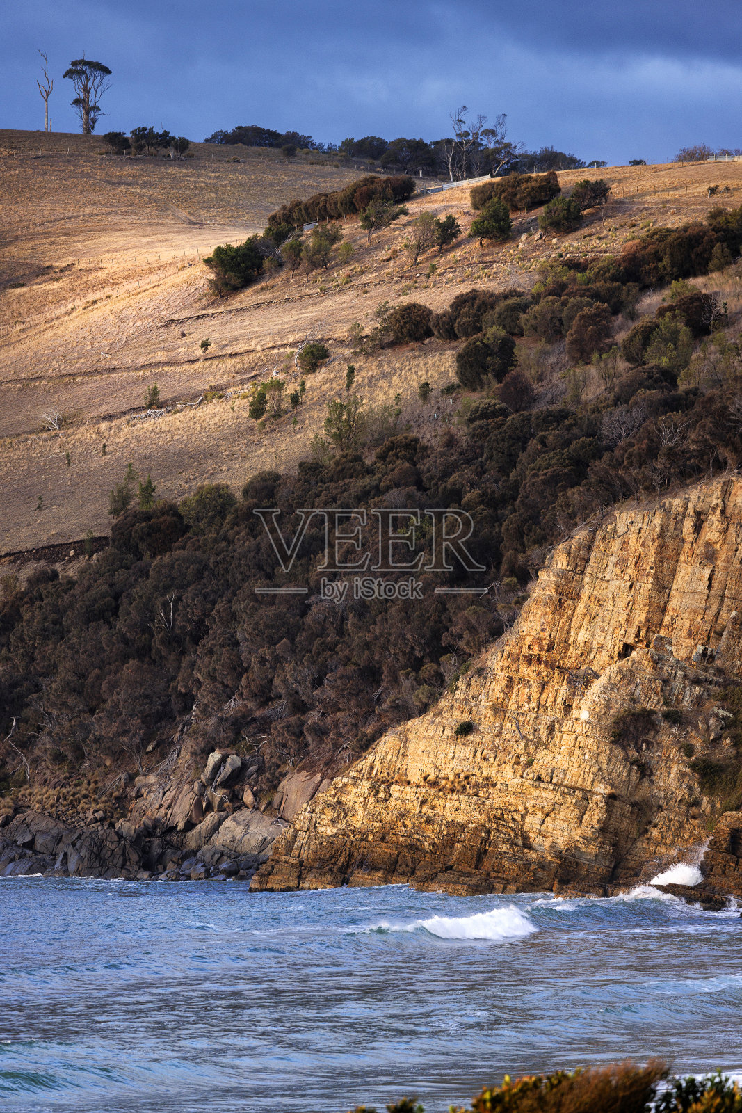 清晨,澳大利亚塔斯马尼亚的克利夫顿海滩照片摄影图片