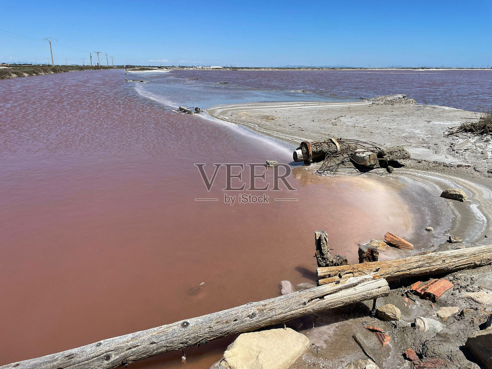 盐水Carmague照片摄影图片