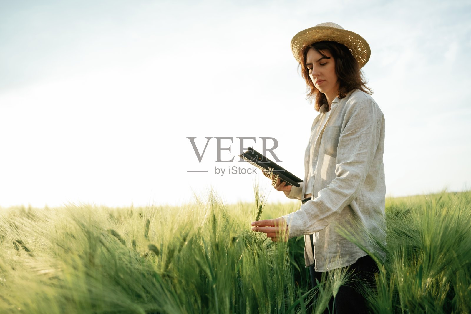 头戴草帽,手持石碑。穿白衣的妇女在农用麦田里照片摄影图片