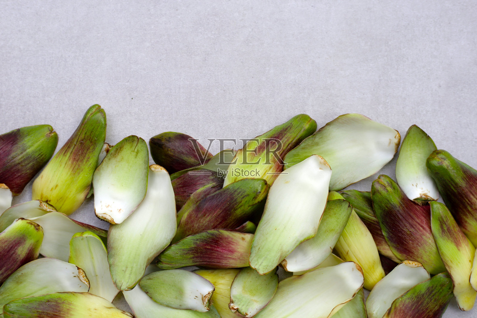 鲜绿紫的洋蓟花瓣照片摄影图片