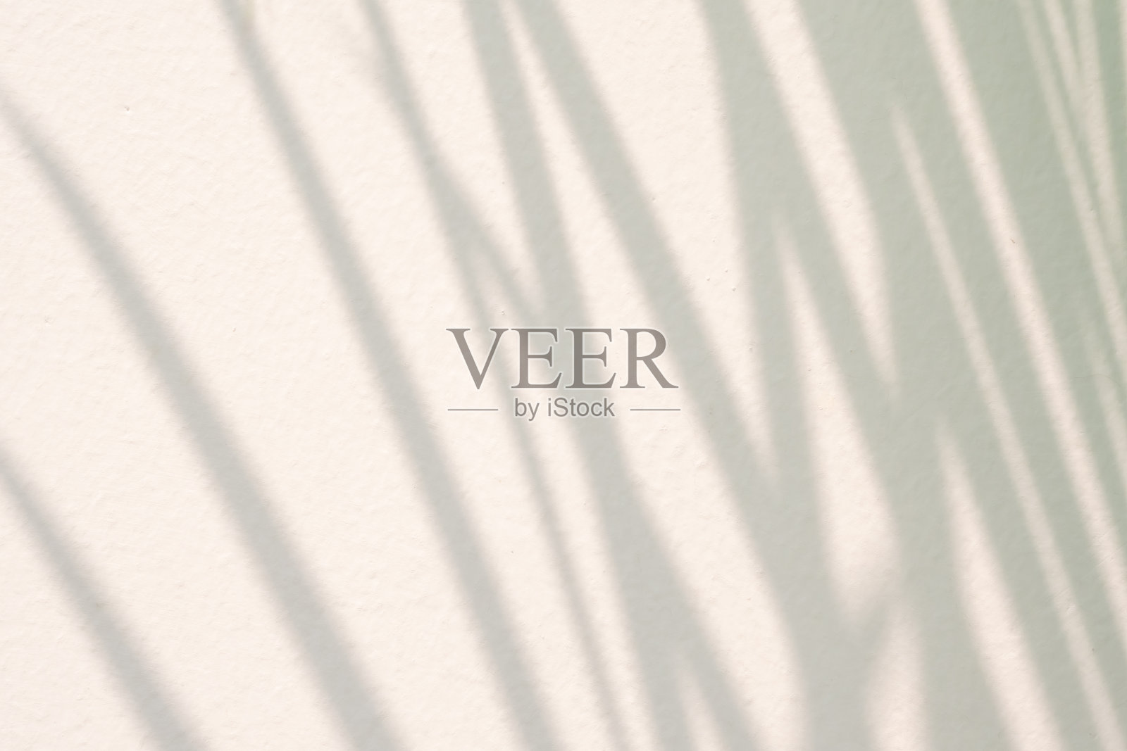 抽象的自然树叶阴影在白色的墙壁背景照片摄影图片