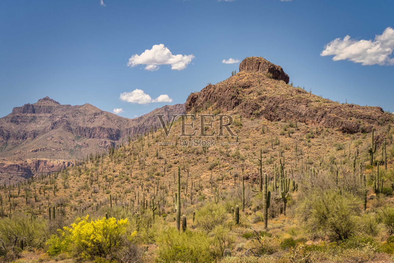 佩拉尔塔地区公园的景色照片摄影图片