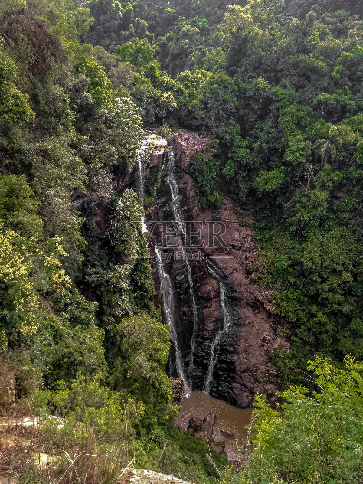 安东尼奥普拉多的植物瀑布- RS照片摄影图片