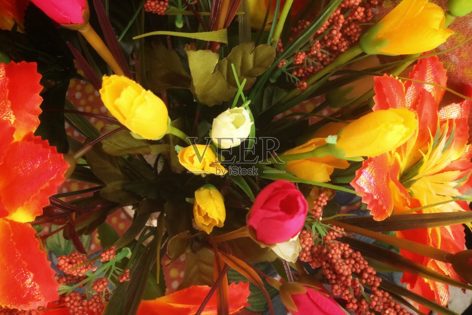 花照片摄影图片