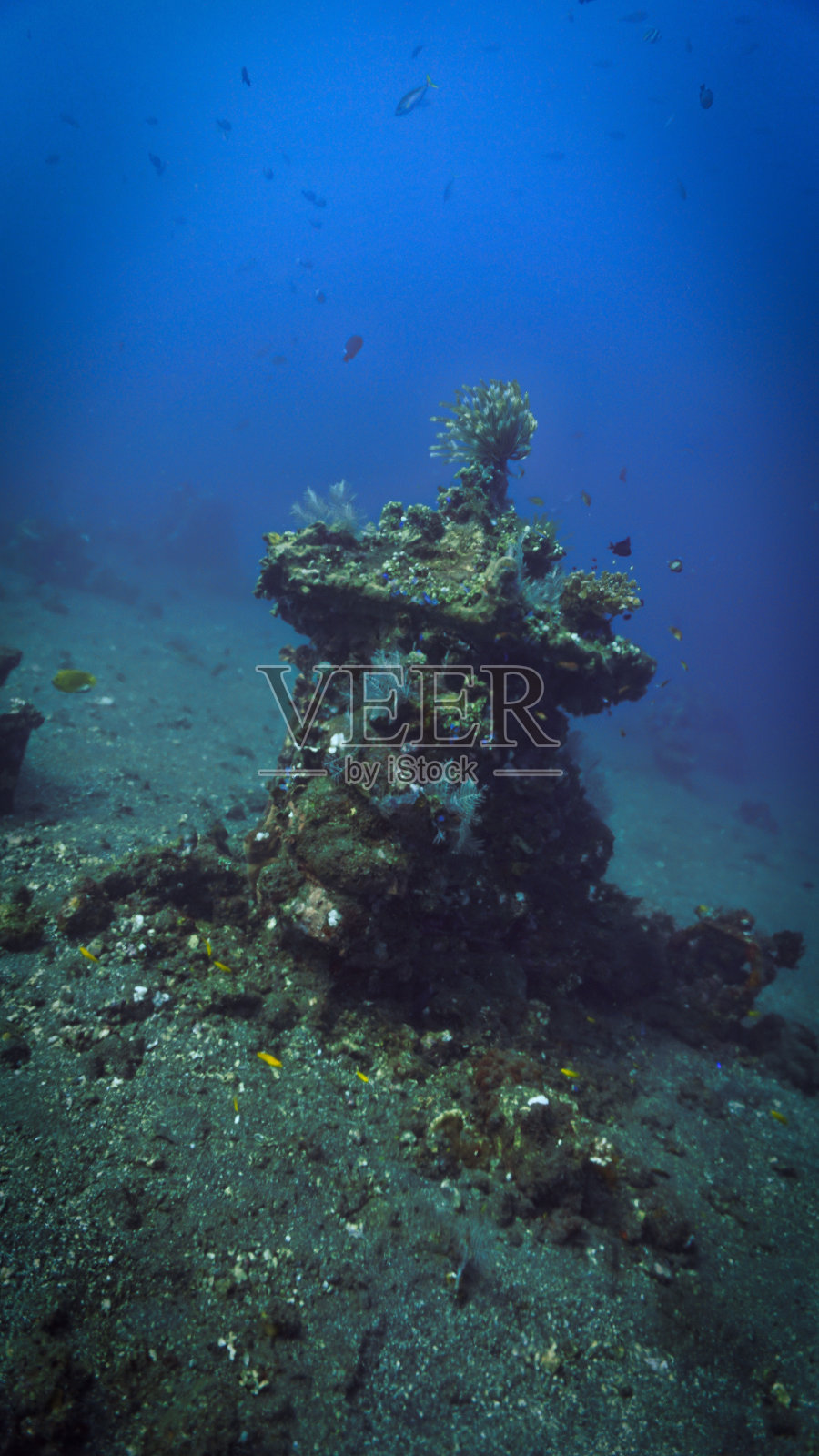 海底的印度教雕像-珊瑚保护照片摄影图片