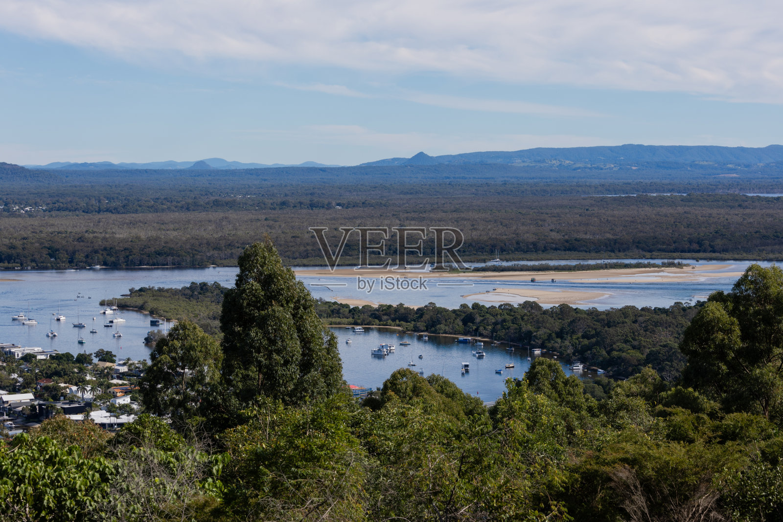 绿树和河流照片摄影图片