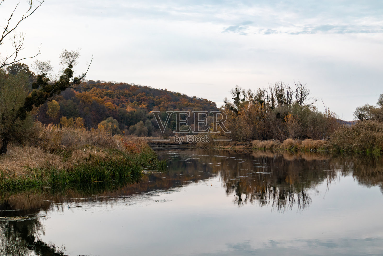 乌克兰西弗斯基·顿涅茨河上的秋天照片摄影图片