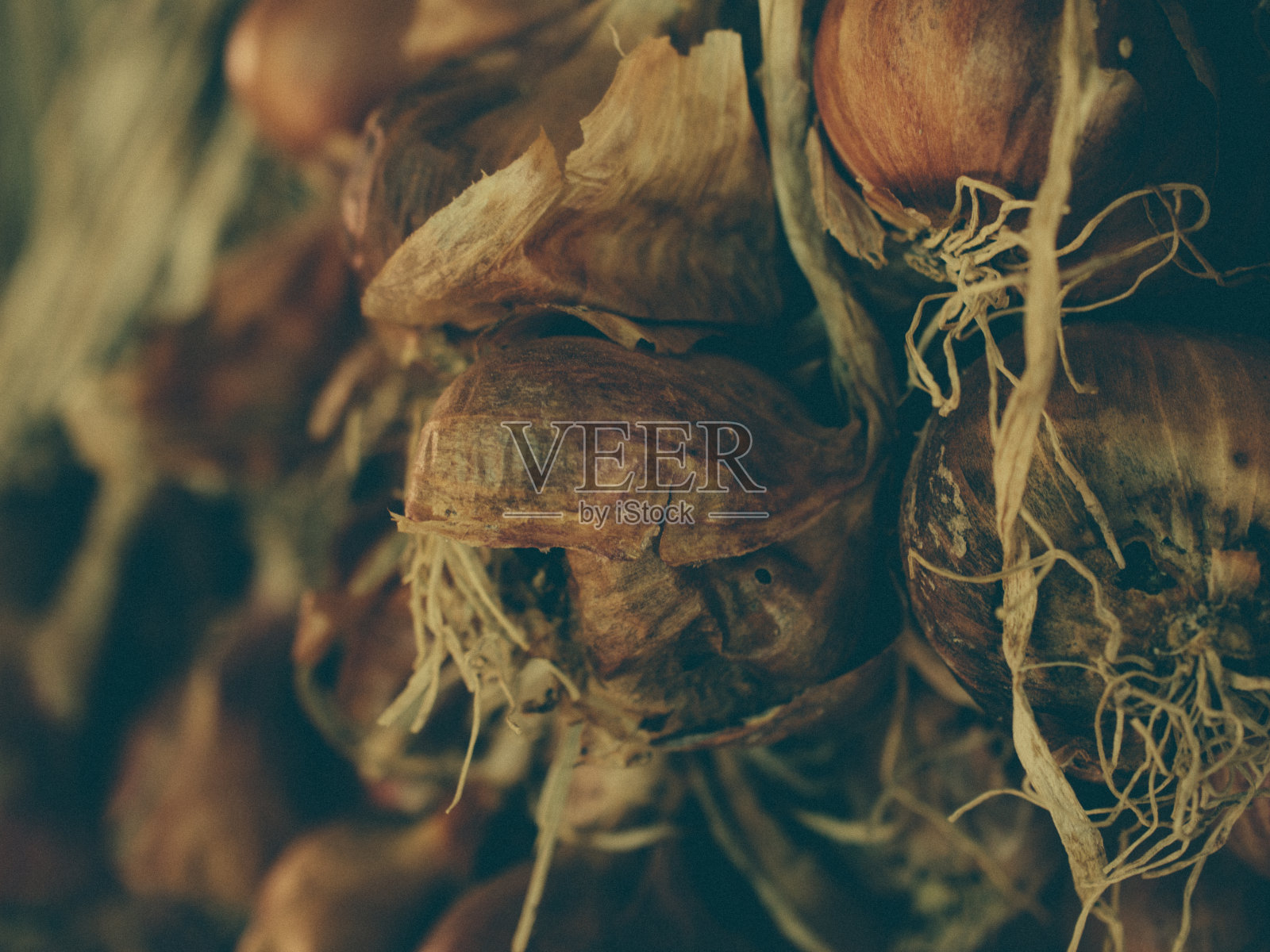 泰国老洋葱照片摄影图片