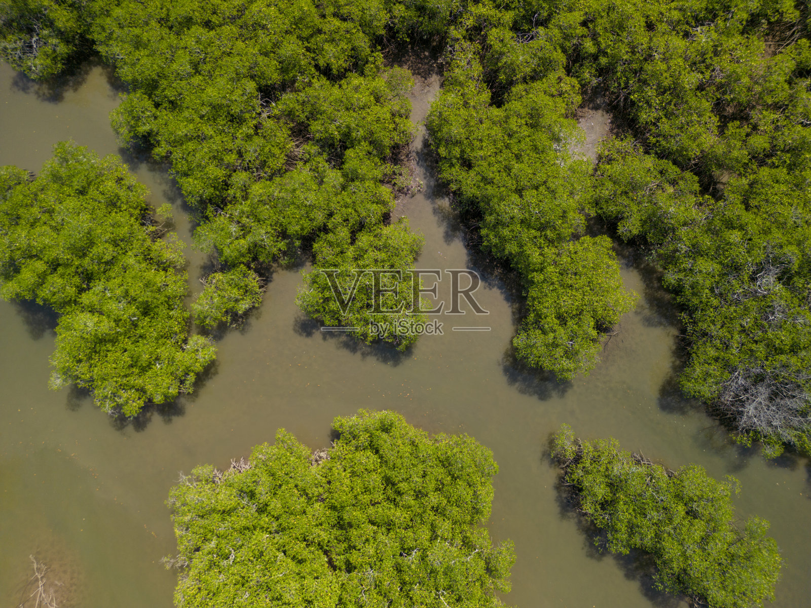 低潮时的海洋鸟瞰图与红树林-库存照片照片摄影图片
