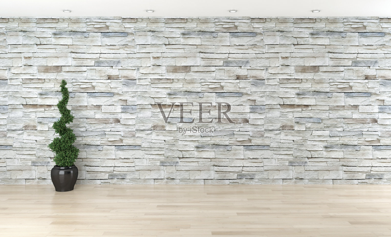 现代明亮的室内空房间3D渲染照片摄影图片