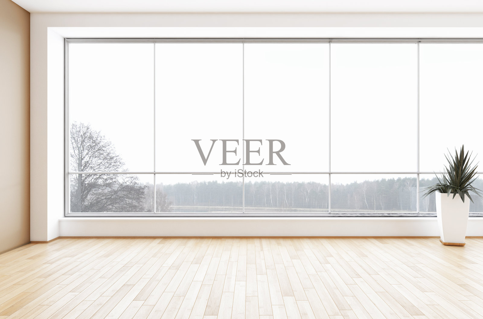 现代明亮的室内空房间3D渲染照片摄影图片