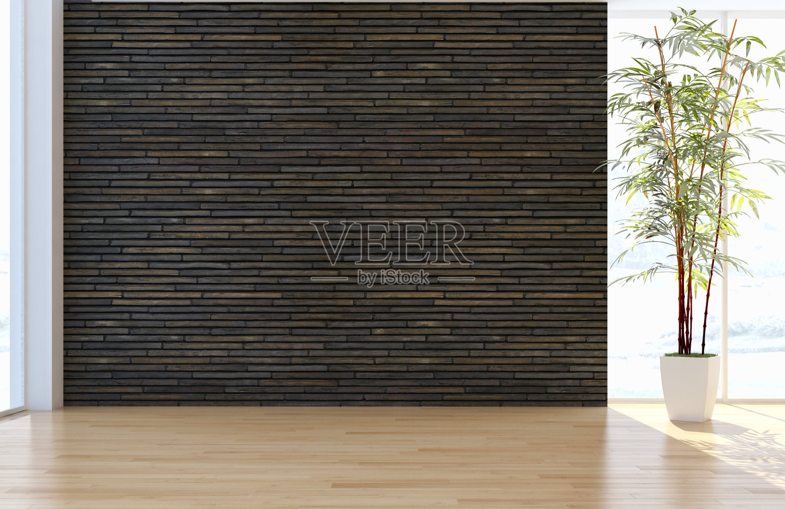 现代明亮的室内空房间3D渲染照片摄影图片