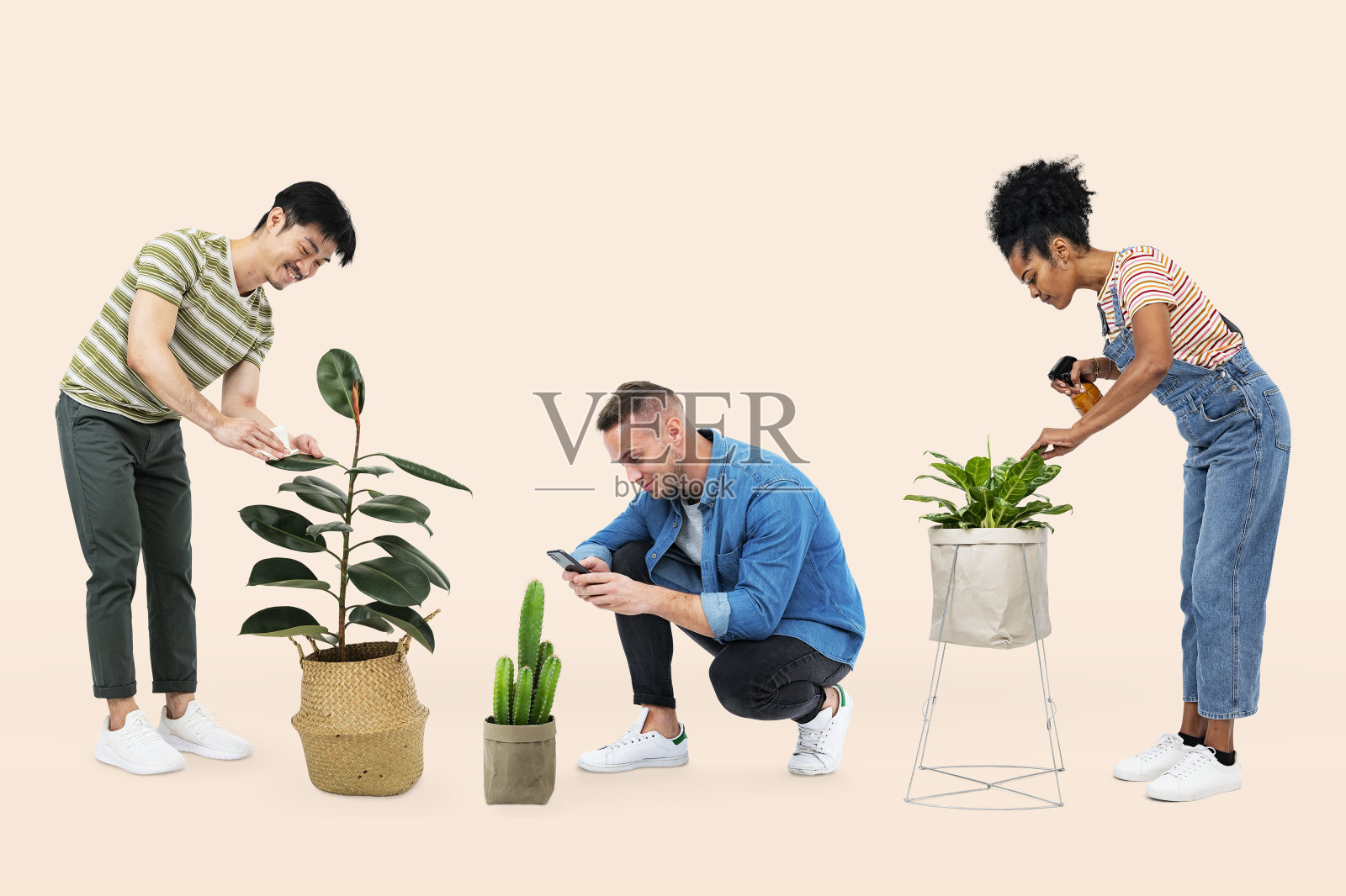 植物父母照顾他们的室内植物照片摄影图片