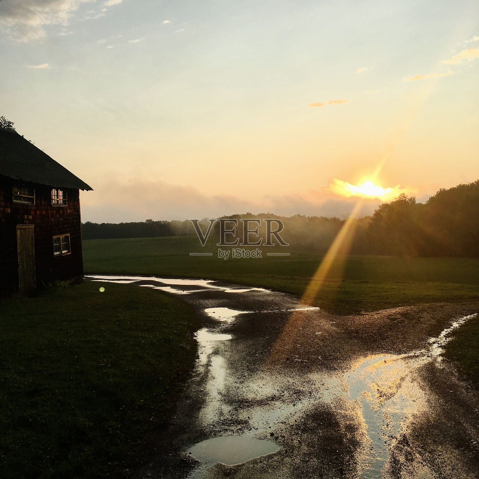 雨后照片摄影图片