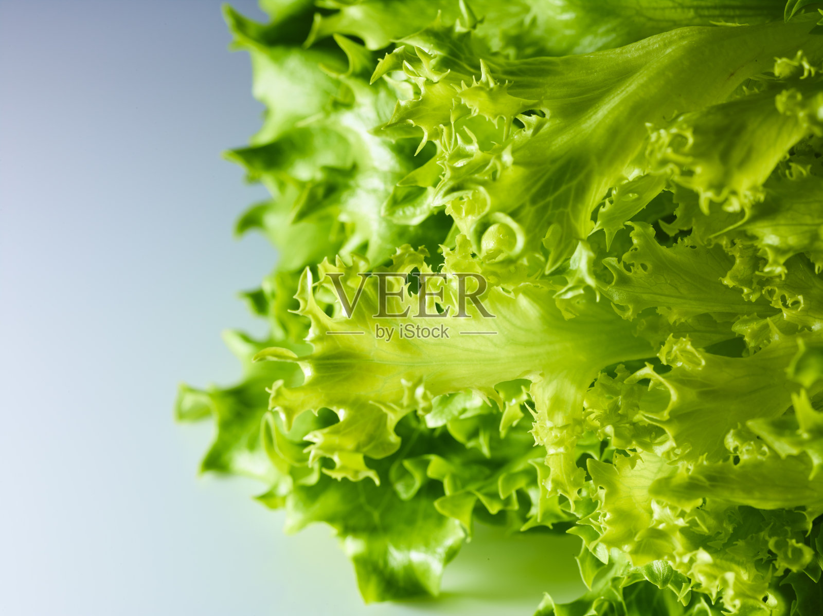 灰色背景上的绿叶沙拉照片摄影图片