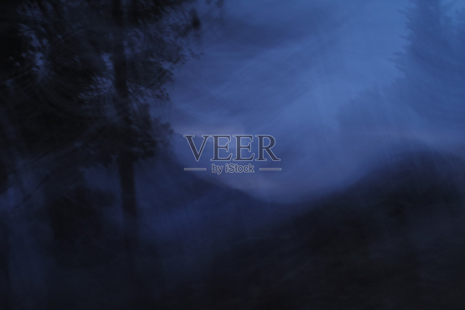 夜晚神秘的树木照片摄影图片