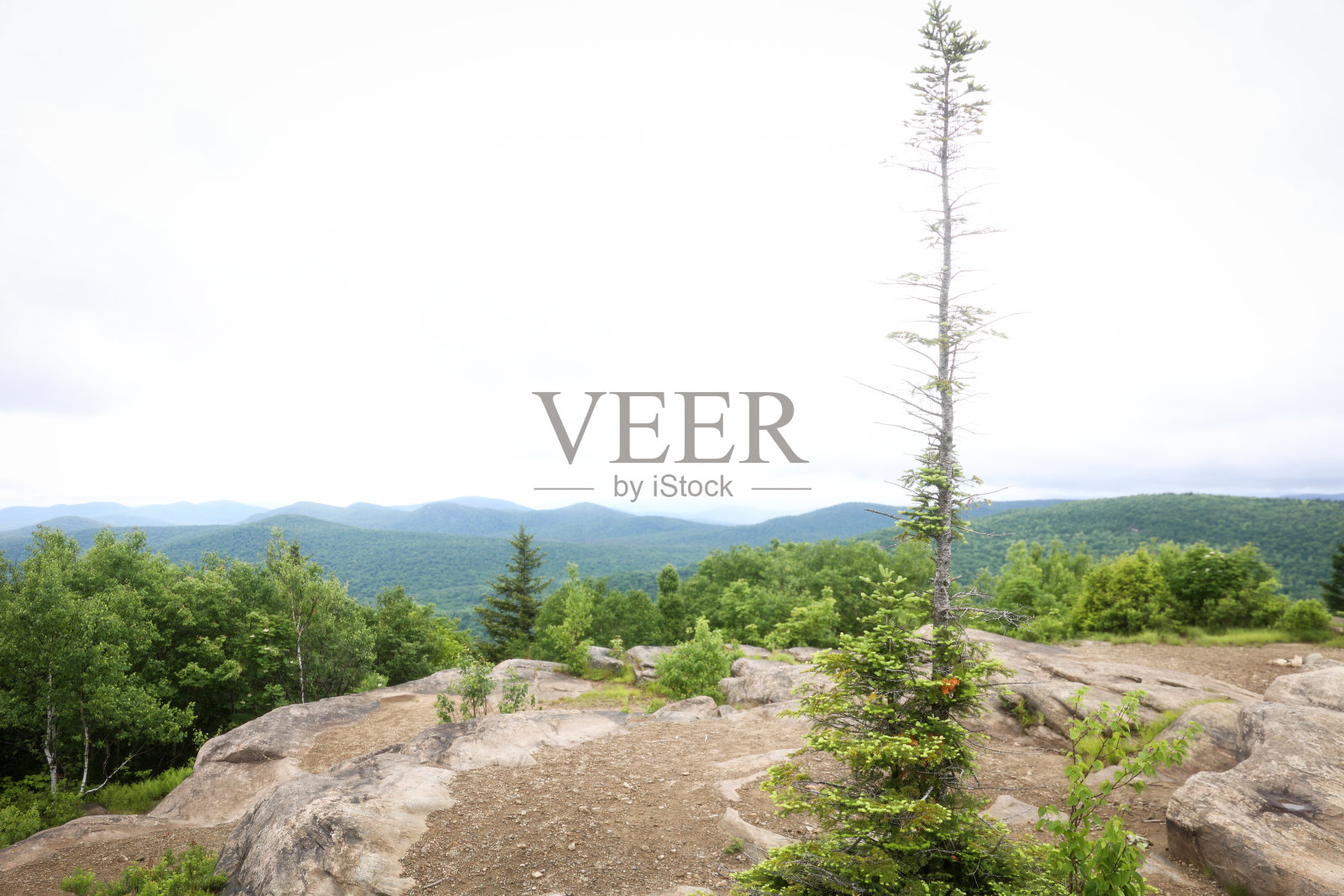 哈德利山照片摄影图片