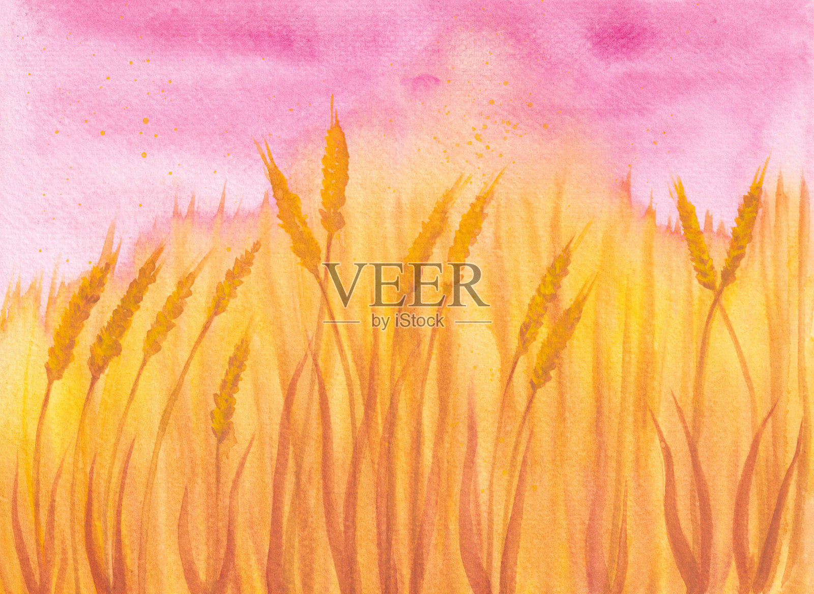 麦田水彩画插画图片素材