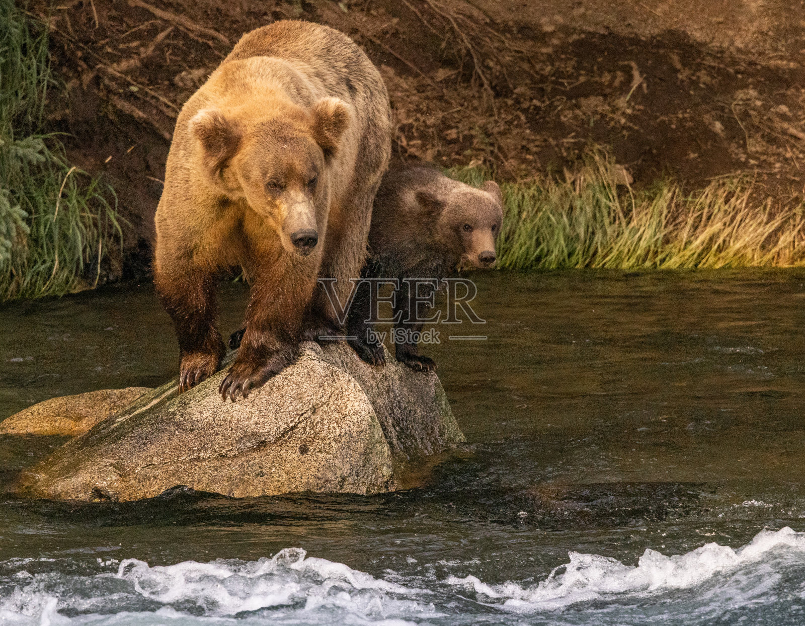 专注的妈妈和宝宝照片摄影图片