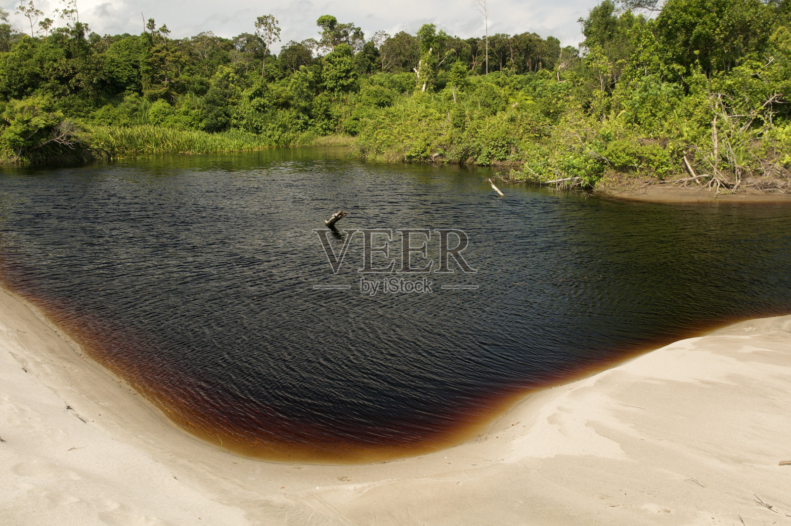 辛基尔沼泽野生动物保护区照片摄影图片