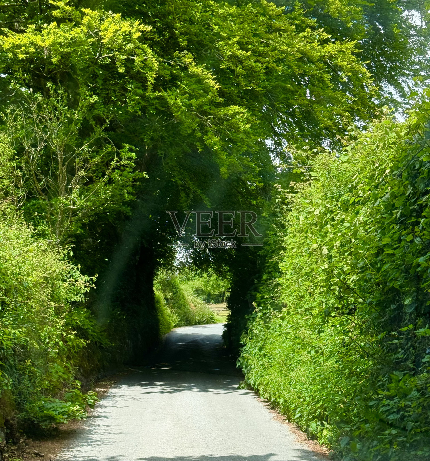 狭窄的道路照片摄影图片