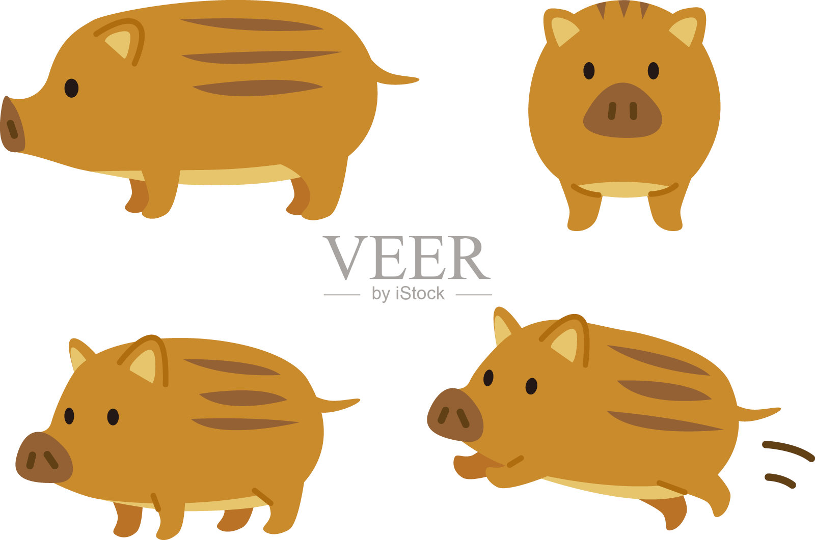 简单和可爱的插图集的婴儿野猪插画图片素材