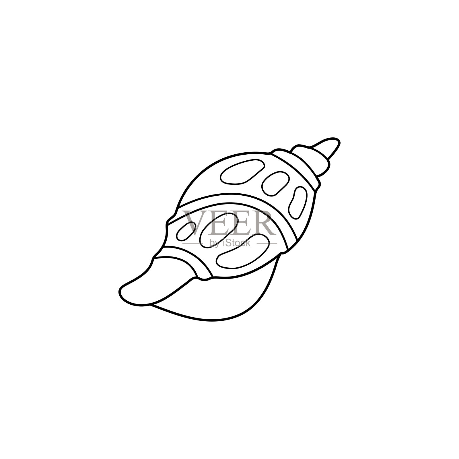 蜗牛海壳矢量插图。线的艺术。可打印的儿童和成人着色页插画图片素材