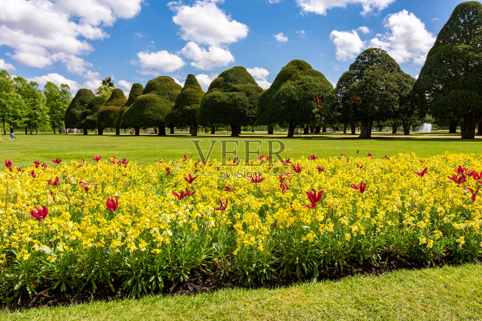 英国伦敦汉普顿宫花园的春花照片摄影图片