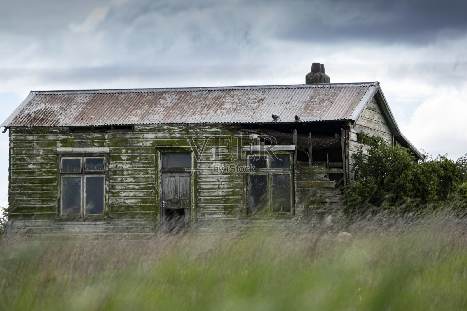老了照片摄影图片
